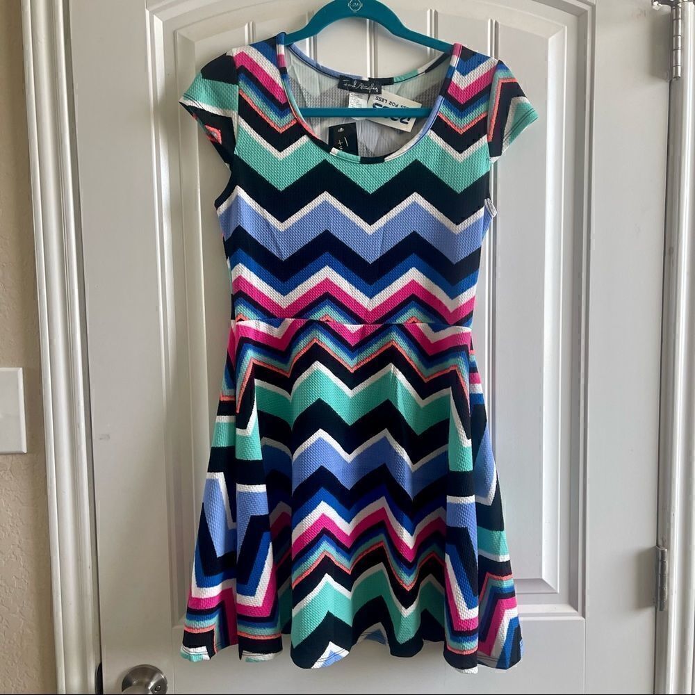 French Atmosphere Chevron Skater Fit Flare Dress Multicolor L NWT